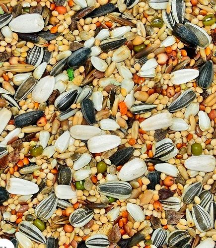 karma dla papug średnich ze słonecznikiem "Energy Taste" MDM PŚ 1 x 10kg fa na Arena.pl