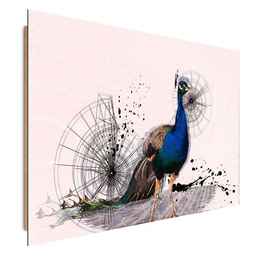 Deco Panel, Paw 3 120x80 na Arena.pl