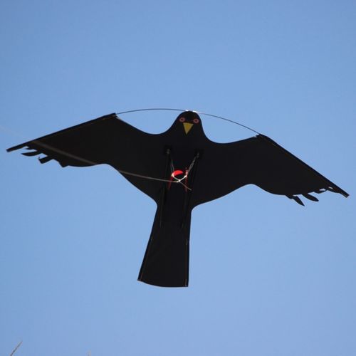 Odstraszacz Ptaków Szpaków CH2 z Masztem 4m na Arena.pl