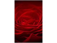 40X60CM RÓŻA UKOCHANEJ OBRAZ