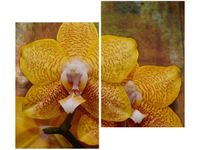 product-compare-58655280