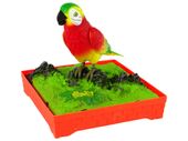 KOLOROWA ŚPIEWAJĄCA PAPUGA Z KLATKĄ