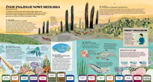 Ewolucja na Arena.pl