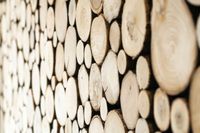 FOTOTAPETA drewno pnie deski na wymiar 360x240