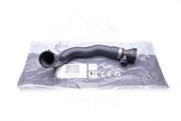 Przewód chłodnicy BMW 3 E46 1997 1998 1999 2000 2001 2002 2003 2004 2005