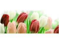 100X40CM CZERWONE TULIPANY OBRAZ DREWNO