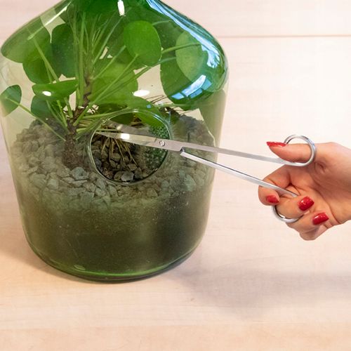 Nożyczki do liści, długie do roślin w szkle na Arena.pl