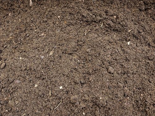 Podłoże dla żółwia greckiego stepowego do terrarium Testudo Soil Baby 25 L na Arena.pl