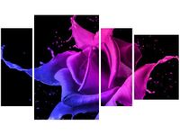 product-compare-58692231