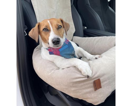 Fotelik samochodowy dla psa Transporter Velvet na Arena.pl