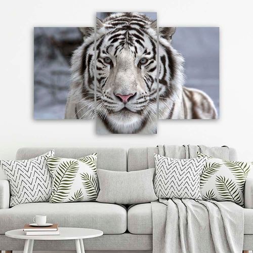 Obraz trzyczęściowy, Orchidea 60x40 na Arena.pl