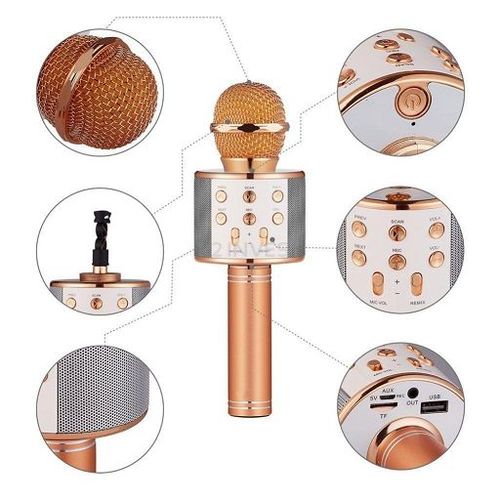 MIKROFON KARAOKE WS858 GŁOŚNIK EFEKTY ECHO Z NAGRYWANIEM MIEDZIANY na Arena.pl