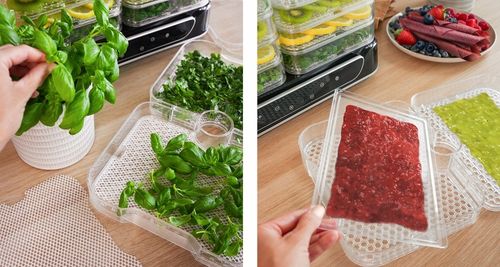 DUŻA SUSZARKA DO GRZYBÓW OWOCÓW WARZYW ZIÓŁ 6 SIT MOCNA 550W ZESTAW na Arena.pl