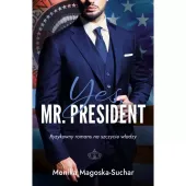 Yes, Mr. President