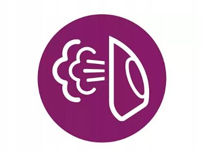 Żelazko parowe Philips DST7011/20 2600W seria 7000 Stopa SteamGlide Plus na Arena.pl