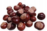 Kasztany naturalne bombki szyszki choinka 100 szt