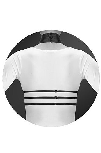 Szelki z obrożą - Arnes Mujer Julia na Arena.pl