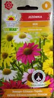 Jeżówka mix roślina miododajna nasiona 1 g