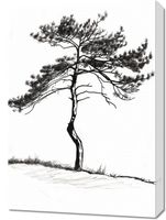 Obraz 50x70cm Samotna Sosna