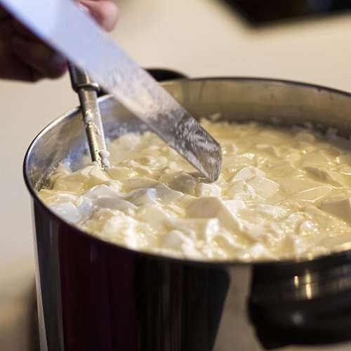 Podpuszczka - do wyrobu serów na Arena.pl