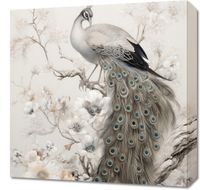 Obraz 50x50cm Pawia Gracja