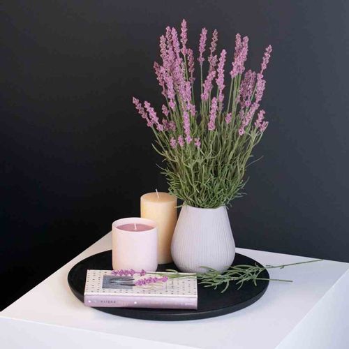 ARTFLOWER/AH/LAVI/18/1PC na Arena.pl