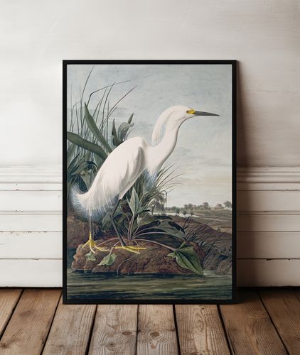 Plakat biały ptak mokradła bagna 61x91 cm w czarnej ramie na Arena.pl