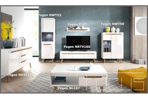 Witryna NWT90 Fegen na Arena.pl