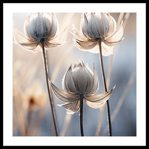 Plakat 40x40cm Poetycka Jesień na Arena.pl
