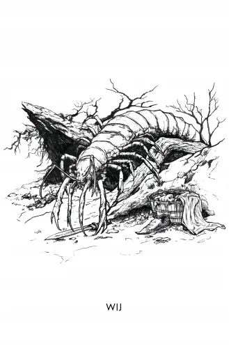 Rozdroże Kruków na Arena.pl