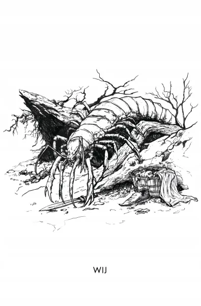 Rozdroże Kruków zdjęcie 12