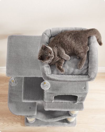 Drapak - PCT261W01 na Arena.pl