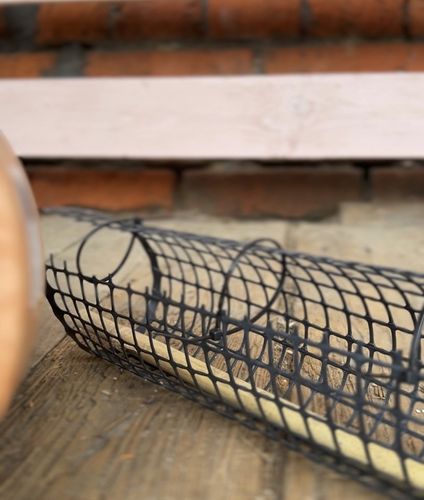 Palik z mchu 60cm sphagnum Podpora do roślin na Arena.pl