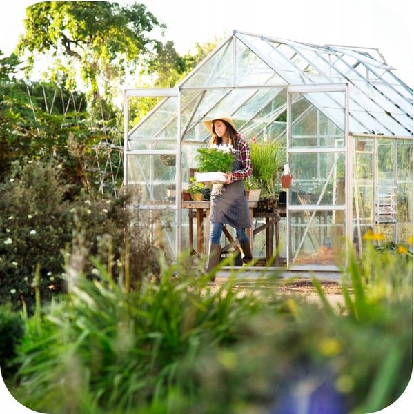 TRUTKA NA ŚLIMAKI ŚRODEK NA ŚLIMAKI 1KG GRANULAT LIMA ORO 5GB zdjęcie 5