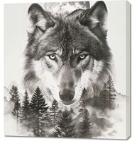 product-compare-59491901