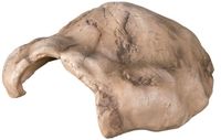 Repti-Zoo Jaskinia kamienno-gliniana 21x15x9cm