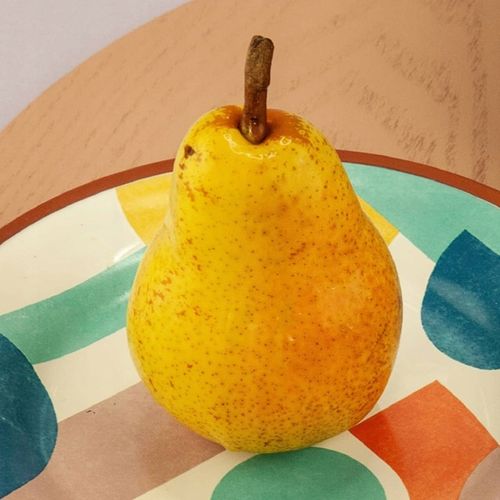 SADZONKI DRZEWKA OWOCOWE GRUSZA KLAPSA FAWORYTKA GIGANTYCZNE OWOCE na Arena.pl