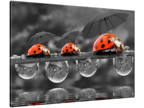 Obraz Spacerek 100x70 JAKOŚĆ+ na Arena.pl