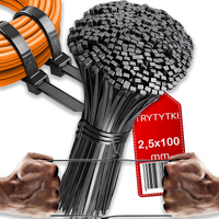TRYTYTKI Opaski Zaciskowe 2,5x100mm 100SZT Czarne Bardzo Mocne Kablowe
