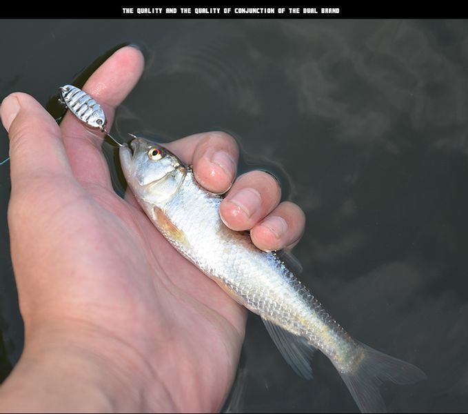 BŁYSTKA Blacha SZCZUPAK OKOŃ SANDACZ 7,5g 3,4cm zdjęcie 9