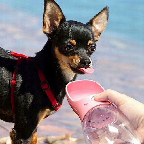 BUTELKA MISKA TURYSTYCZNA BIDON NA WODĘ POJEMNIK NA KARMĘ PRZENOŚNA POIDŁO na Arena.pl