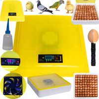 INKUBATOR KLUJNIK WYLĘGARKA JAJ WYLĘGU 88 JAJ