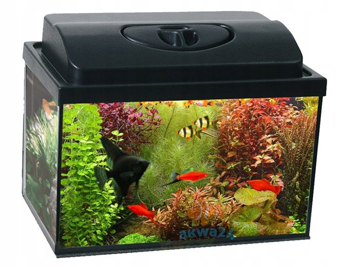 AKWARIUM 25L PROSTE 40x25x25cm +12 ów zdjęcie 1