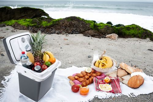 Lodówka turystyczna USB 29l grafitowa z wyświetlaczem + wkład gratis na Arena.pl