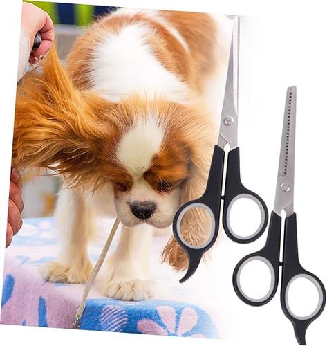 Nożyczki do pielęgnacji zwierząt dla psów i kotów na Arena.pl