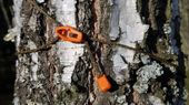 Napinacze do tarpów 6 szt Ultralight Bushmen pomarańczowe