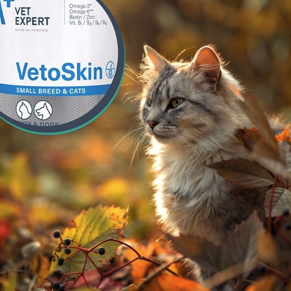 Vetexpert VetoSkin SMALL 60 kaps zdjęcie 2