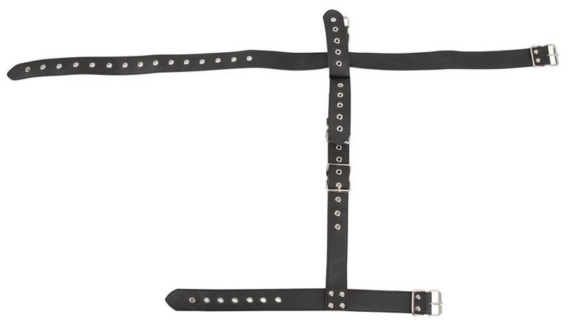 Neck-Wrist Restraint Vegan zdjęcie 4