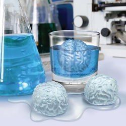 Foremka lodowa - MÓZGI na Arena.pl