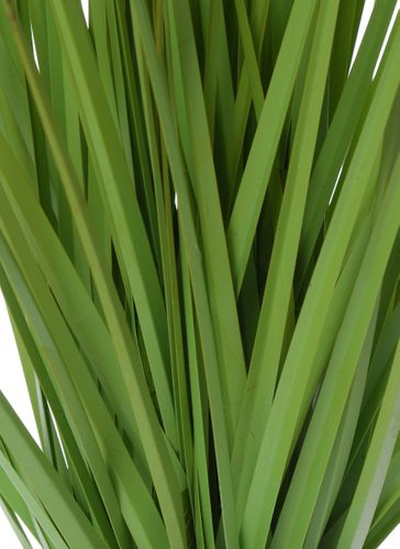 Trawa Mini Green 35 Cm na Arena.pl